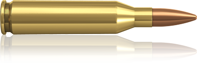 243 Win. Norma FMJ 95 grain