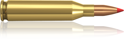 Hornady 243 Win. V-MAX 58 grain