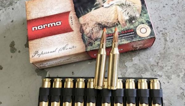 243 Win. Norma TipStrike 76 grain