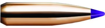 Nosler - 6mm/.243 Cal. 95 grain Ballistic Tip