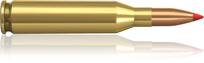 Hornady 243 Win. V-MAX 75 grain