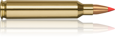 .204 Ruger 40 grain V-MAX