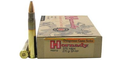 375 H&H 300 grain DGX