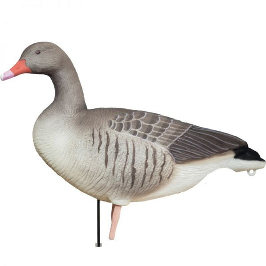DK WAI Grágæs Supreme full body