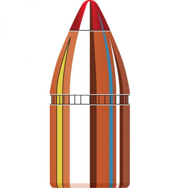 Hornady .45 cal 325 gr FTX