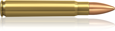 Norma 9,3x62 232 grain FMJ