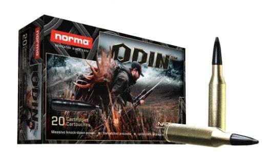 Norma 30-06 ODIN 162 grain