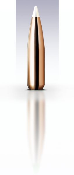 Nosler - .30 Cal. 125 grain Accubond