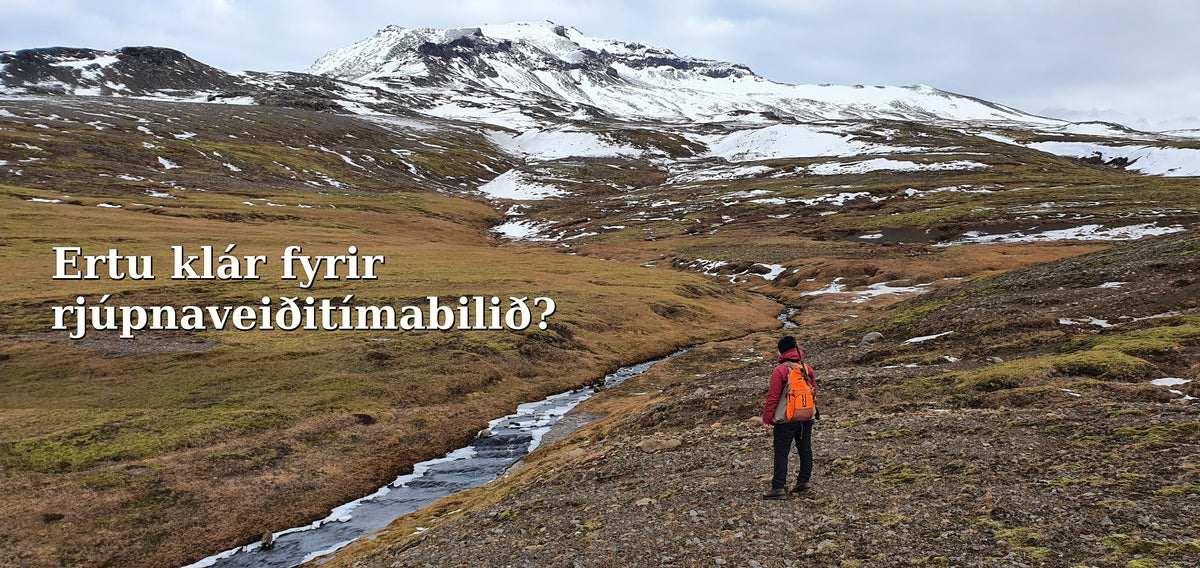 Klár fyrir rjúpnaveiðitímabilið